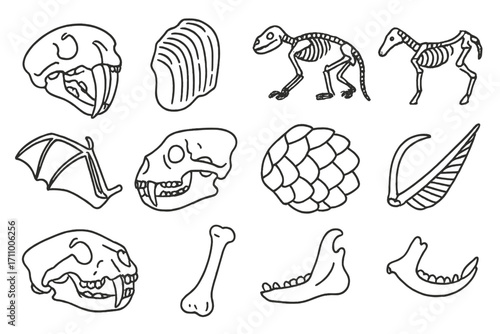 Fossil Animal Icons. Line style icons of fossil animals: saber tooth cat fossil, mammoth tooth, ancient lizard bones, extinct