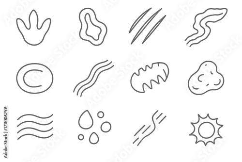 Trace Fossil Icons. Line style icons of trace fossils: dino footprint, burrow path, claw scratch, crawling trail; resting trace,