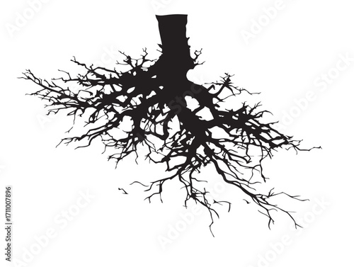 Flooded root design silhouette vector illustration in elegant style