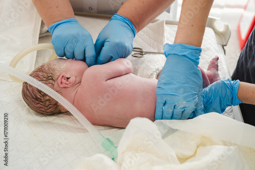 Cuadro en lienzo Medical team wearing gloves diligently cleaning a newborn baby moments after del