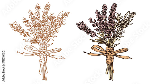 Elegant Rustic Lavender Groom Boutonniere Outline Illustration