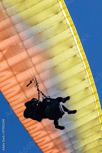 Paragliding in the Alps