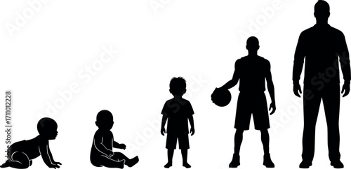 Human life stages silhouette from baby to adult male, growth development concept, age progression vector for educational and medical use