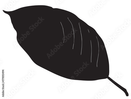 Elegant Guava Leaf Silhouette Illustration for Natural Pattern Artwork