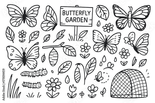 Butterfly Garden Doodles. Butterfly garden: hand drawn doodles of wings, cocoons, flowers, nectar drops, leaves, caterpillars,