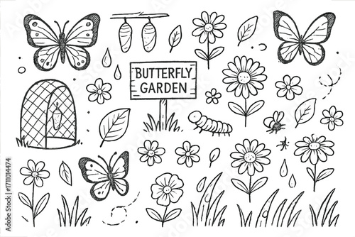 Butterfly Garden Doodles. Butterfly garden: hand drawn doodles of wings, cocoons, flowers, nectar drops, leaves, caterpillars,