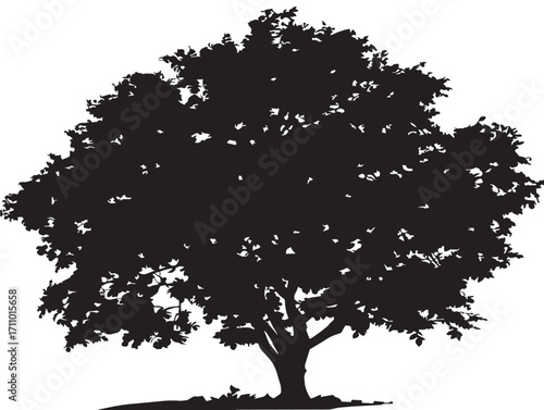 Detailed Hazelnut Tree Silhouette Vector for Natural Botanical Prints