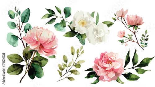 Elegant Watercolor Peony Rose Floral Elements Collection