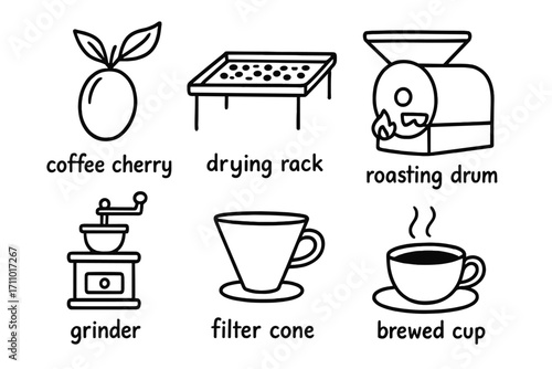 Coffee Bean Lifecycle. Coffee bean lifecycle: hand drawn doodles of coffee cherry, drying rack, roasting drum, grinder, filter