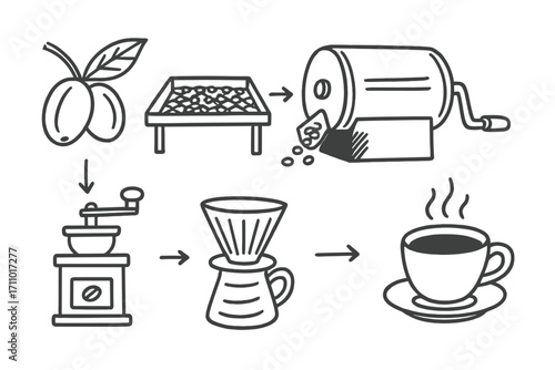 Coffee Bean Lifecycle. Coffee bean lifecycle: hand drawn doodles of coffee cherry, drying rack, roasting drum, grinder, filter