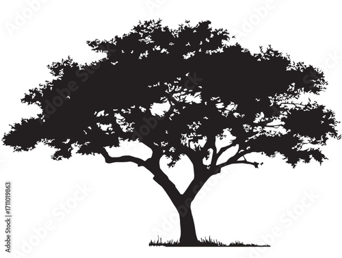 Detailed ironwood tree silhouette in bold vector artwork
