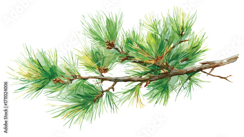 Elegant Watercolor Pine Branch on White Background for Creative Projects