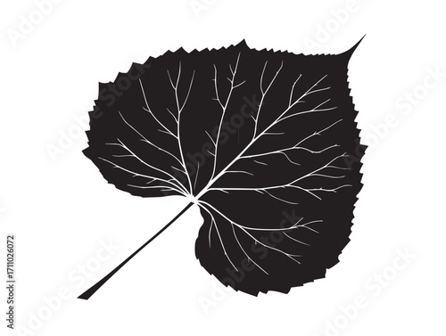 Elegant linden leaf silhouette vector illustration artwork