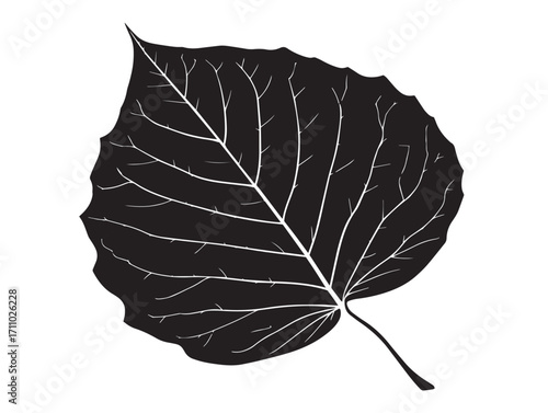 Decorative linden leaf silhouette vector illustration style