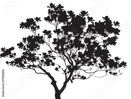 Elegant magnolia tree silhouette vector illustration decorative artwork