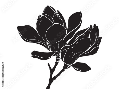 Artistic magnolia flower silhouette vector illustration design