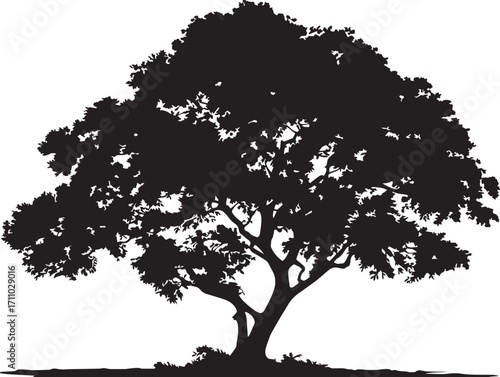 Canvastavla Beautiful mahogany tree silhouette decorative vector illustration