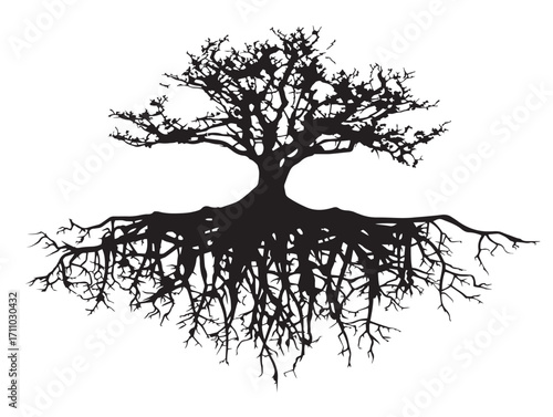 Artistic mangrove aerial roots silhouette vector illustration design