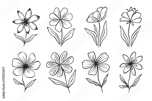 Ink flowers doodle art Hand drawn brush daisy flower set. Black paint elegant chamomile