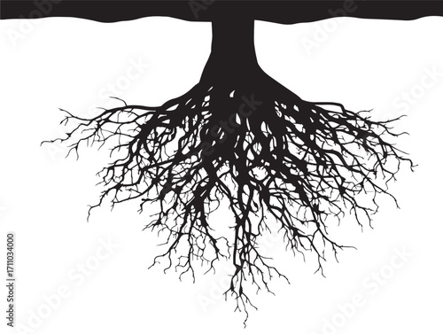 Elegant narrow fibrous roots silhouette artwork for designers and artists