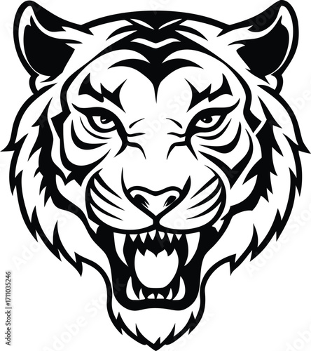 Tiger face vector
