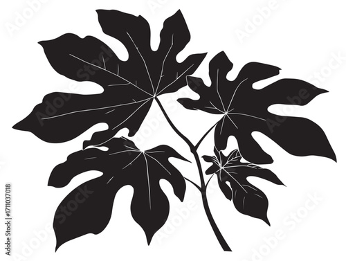 Elegant papaya leaf silhouette tropical exotic vector artwork