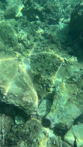 Crystal-clear seawater with a rocky bottom and peacefully swimming fish. Beautiful rays of sunlight and reflections of light dance across the ocean floor.