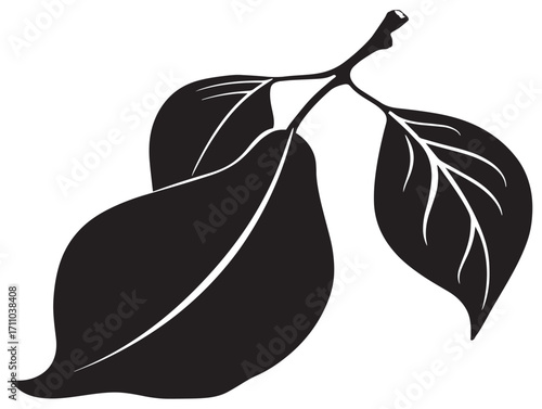 Stylish pear leaf silhouette elegant natural vector element