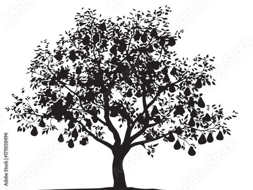 Elegant pear tree silhouette natural botanical vector illustration