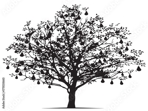 Elegant pear tree silhouette vector illustration design