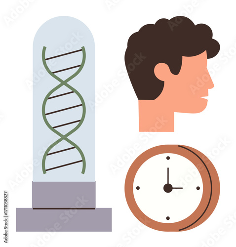 DNA strand, human profile, and clock symbolize genetic factors influencing time, health, aging, and biology. Ideal for medicine, research, genetics health time management education