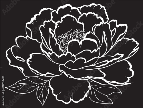 Lovely peony flower silhouette with stunning natural charm