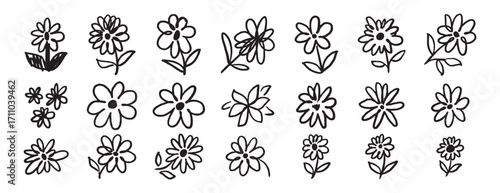 brush flowers daisies or camomile doodle hand drawn icon set. Outline drawing flower line clipart symbol collection