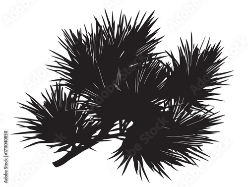 Pine needle cluster silhouette in elegant vector artwork