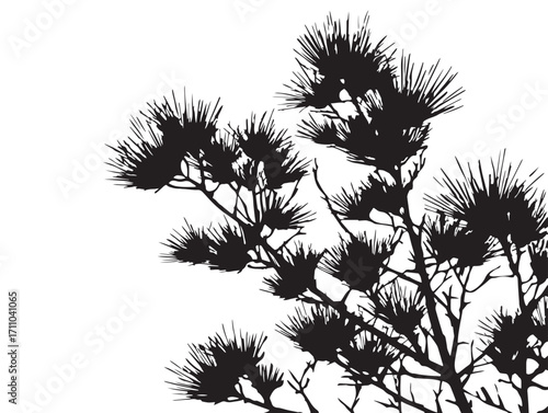 Natural pine needle cluster silhouette illustration in solid black