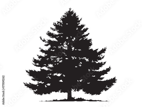 Pine tree conifer silhouette illustration with natural strength