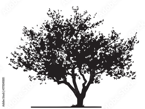 Plum tree silhouette design with strong natural illustration