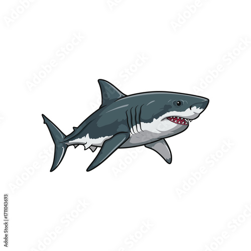 Cartoon illustration of a great white shark swimming.