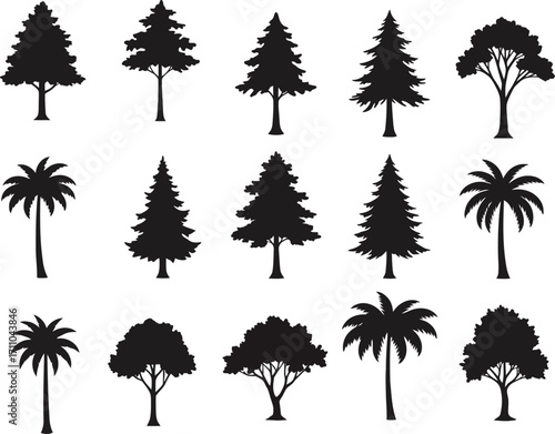 Collection of diverse tree silhouettes including pine fir spruce palm and deciduous trees.
