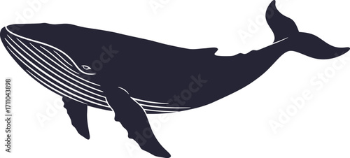 Dark Blue Silhouette of a Humpback Whale Swimming.