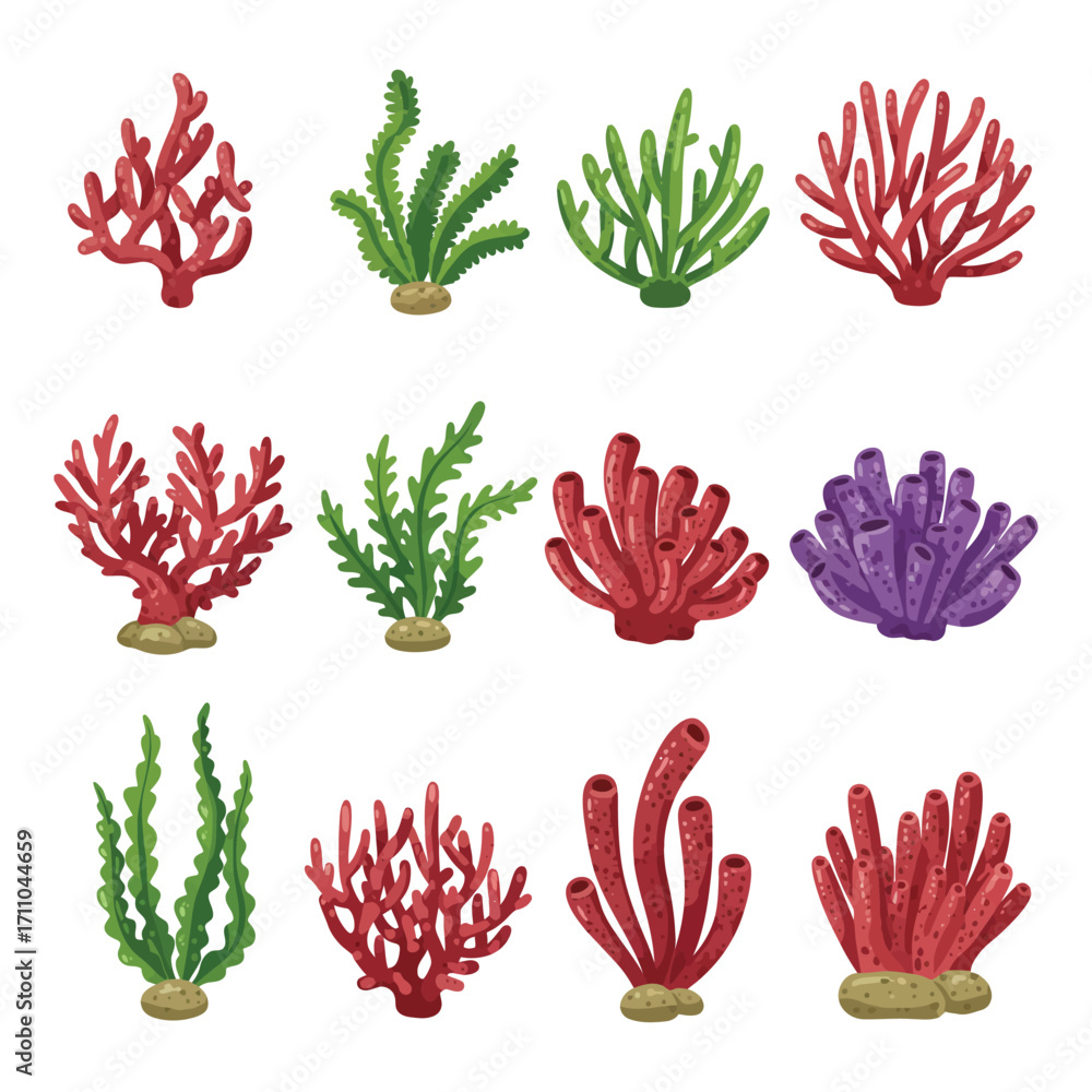 Fototapeta premium Vibrant Marine Flora Coral and Seaweed Collection Underwater Elements.