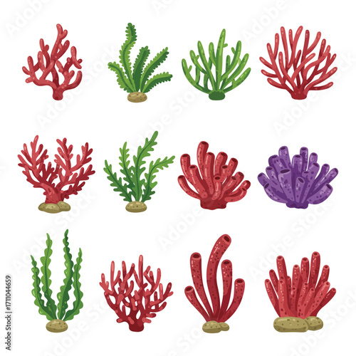 Vibrant Marine Flora Coral and Seaweed Collection Underwater Elements.