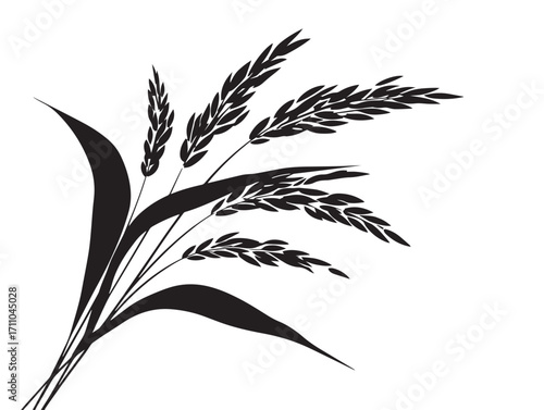 Fresh Rice Paddy Leaf Silhouette Vector for Agricultural Design