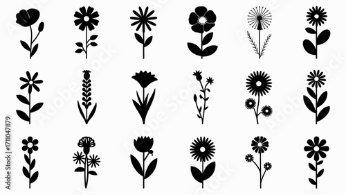 Diverse collection of delicate botanical silhouettes of flowers and plants for artistic design vector