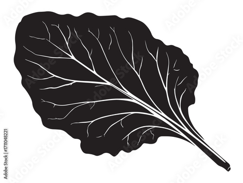 Minimal Spinach Leaf Silhouette Artwork for Food Design Projects