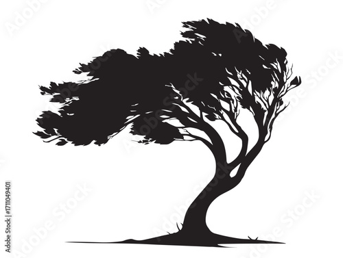 Striking Storm Bent Tree Silhouette Illustration for Outdoor Scenes