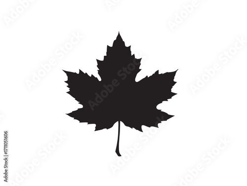 Stylish sycamore leaf silhouette vector illustration perfect for patterns