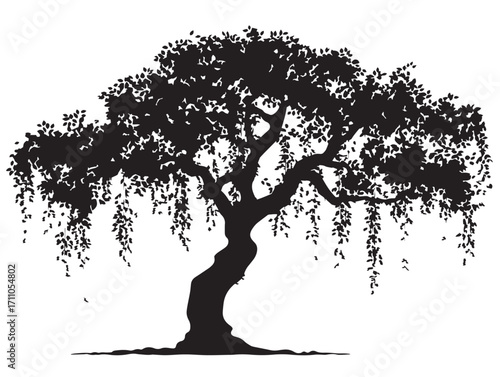 Dramatic tree with hanging vines silhouette vector illustration for wild artwork