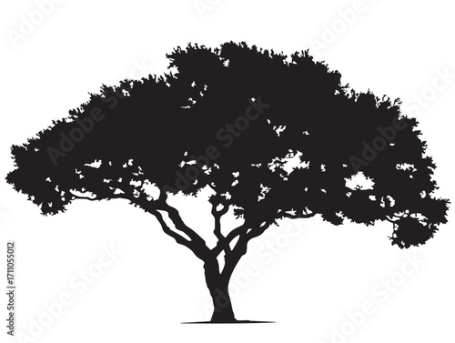 Large tree with spreading crown silhouette vector illustration for bold design