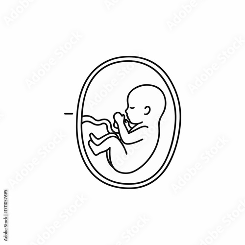 Fetus illustration in amniotic sac, showing fetal development and growing baby. Fetus outline displays growing baby, as a symbol of new life in pregnant uterus. New life illustration,